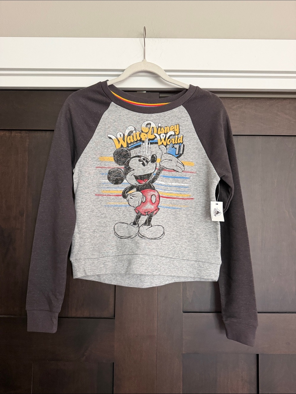 Disney Parks Mickey Mouse Charcoal Heather Gray Raglan Sweatshirt size Small